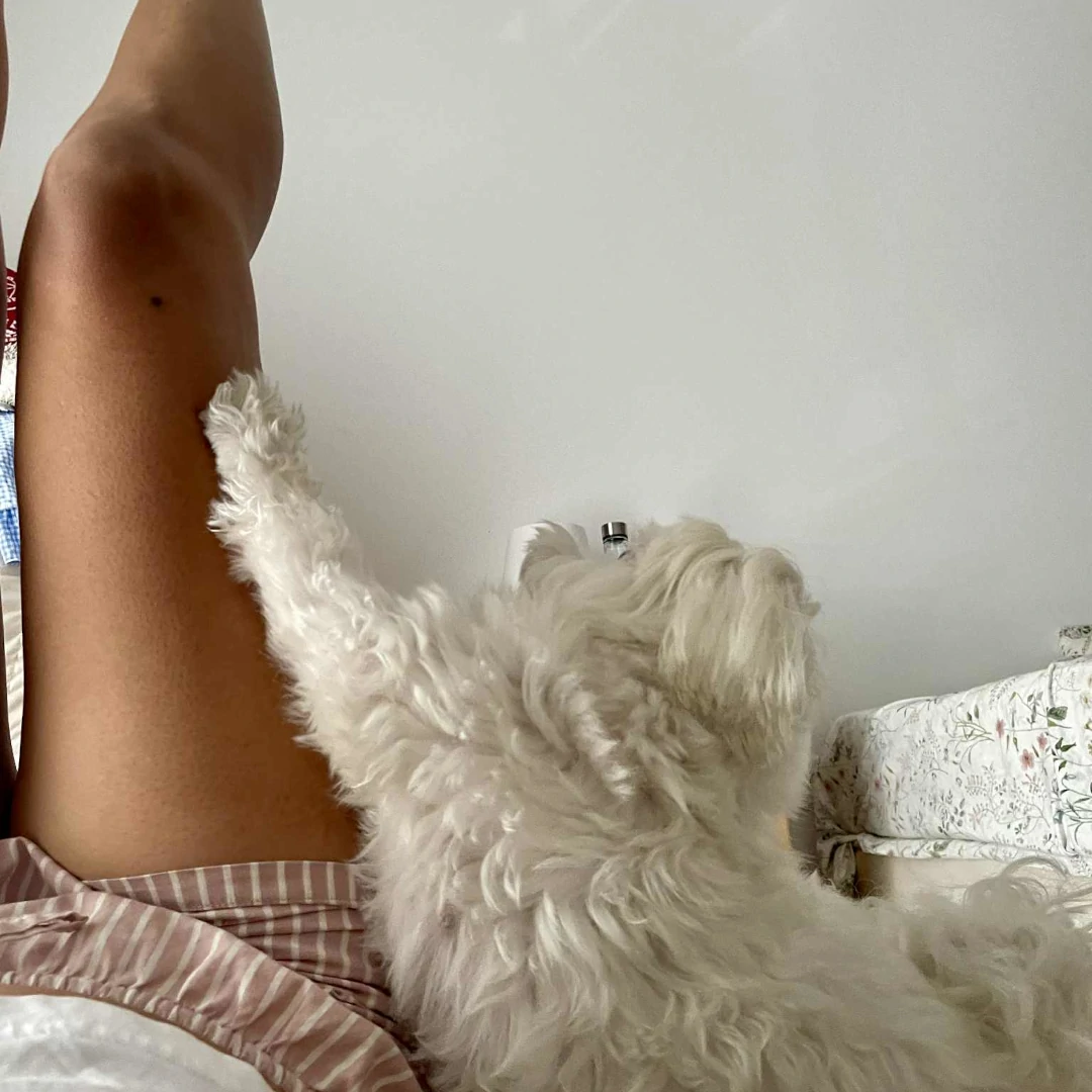 Leraren komen in verschillende vormen