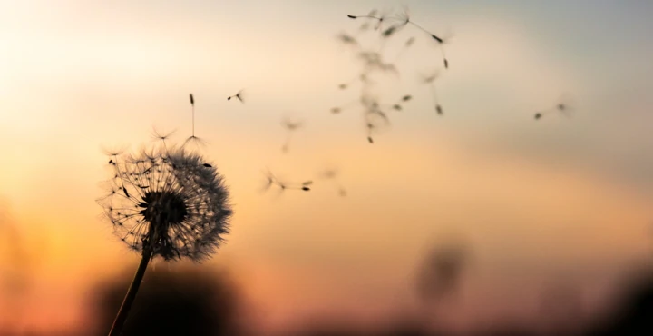 Veiligheid in het lichaam